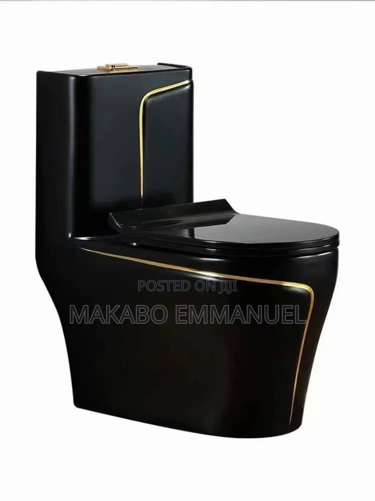 Black Executive Toilet