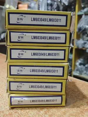 Bearings BW and Oil Seals