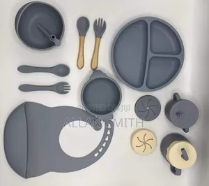 Silicon Feeding Set