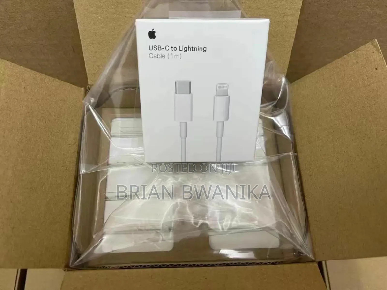 Adptors and Cables for iPhone Available