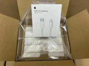 Adptors and Cables for iPhone Available