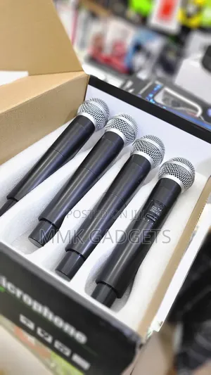 Professional Vocal Microphone