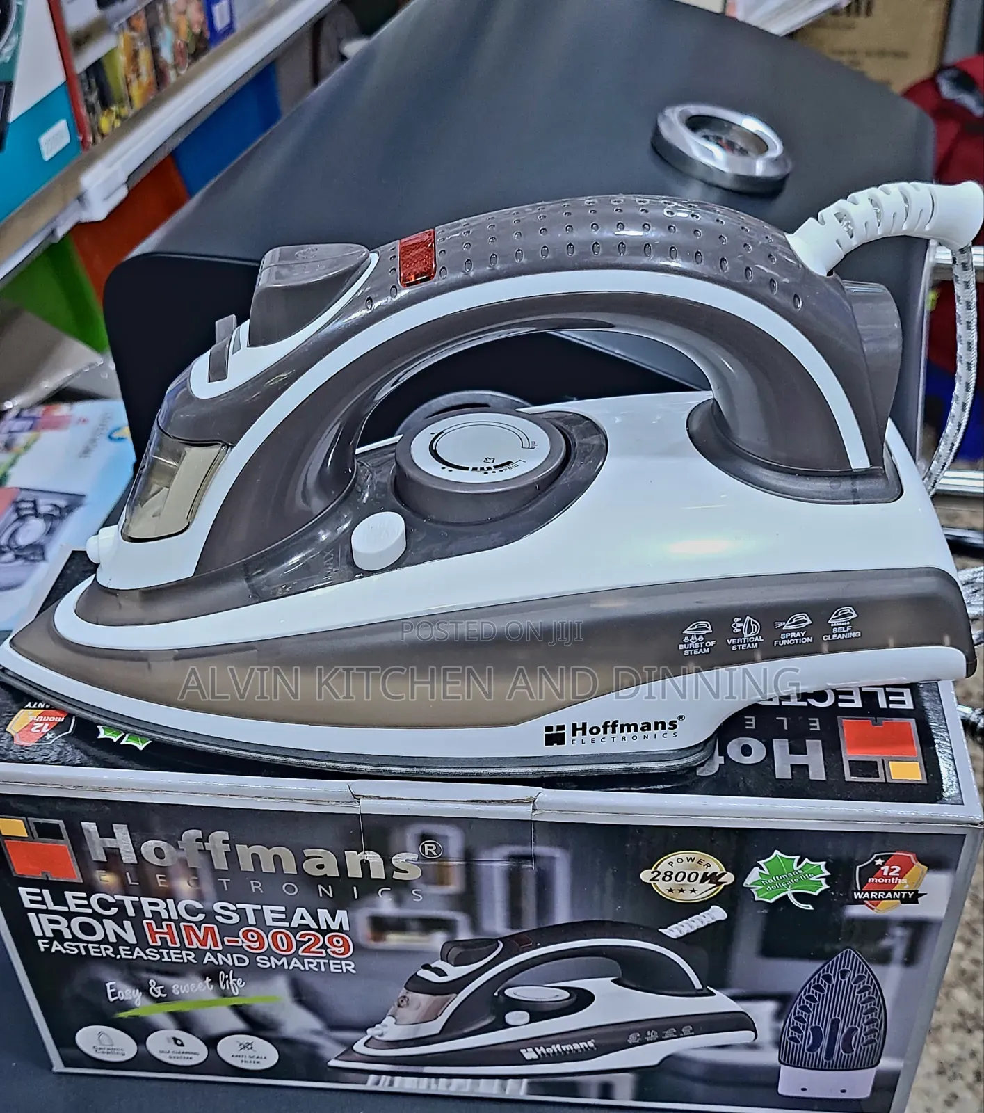 Steam Iron Hoffman