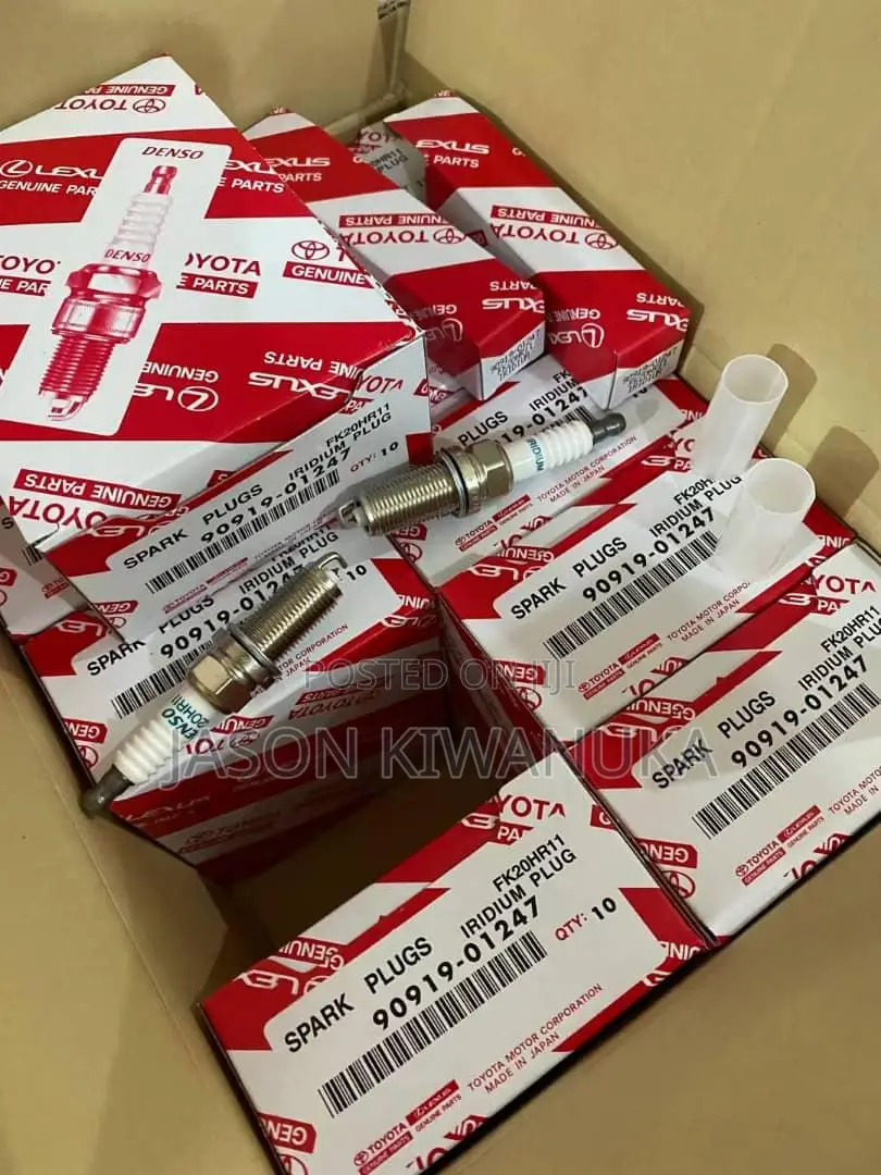 Oil Filters