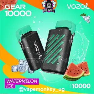Photo - New Vozol Gear 10000 Puffs