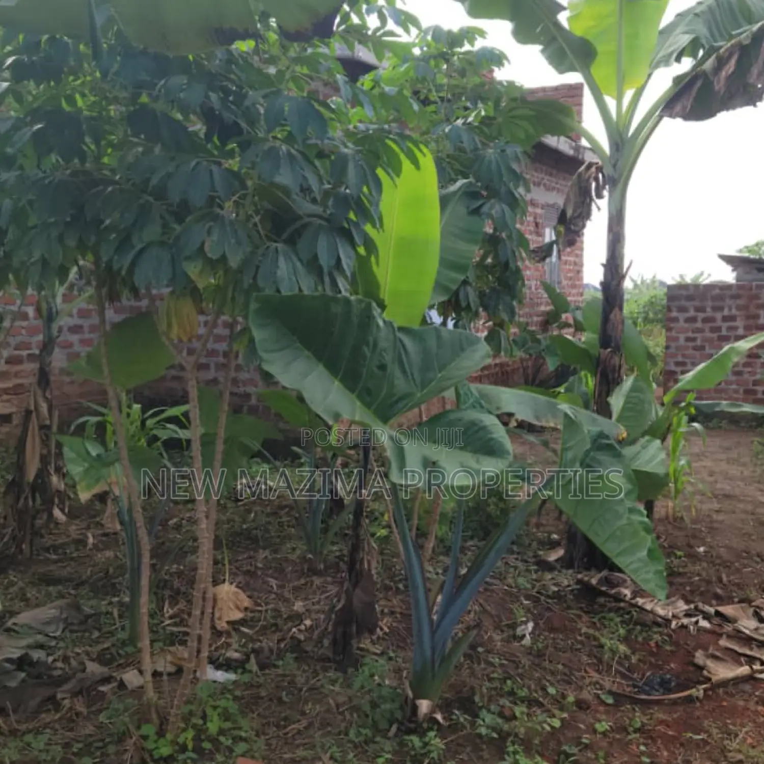 1bdrm House in Matuga Kavule, Division A for sale