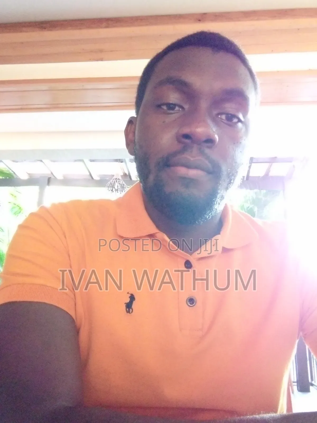 Ivan Wathum Work CV