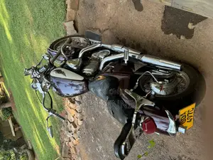 Honda Steed 2010 Beige