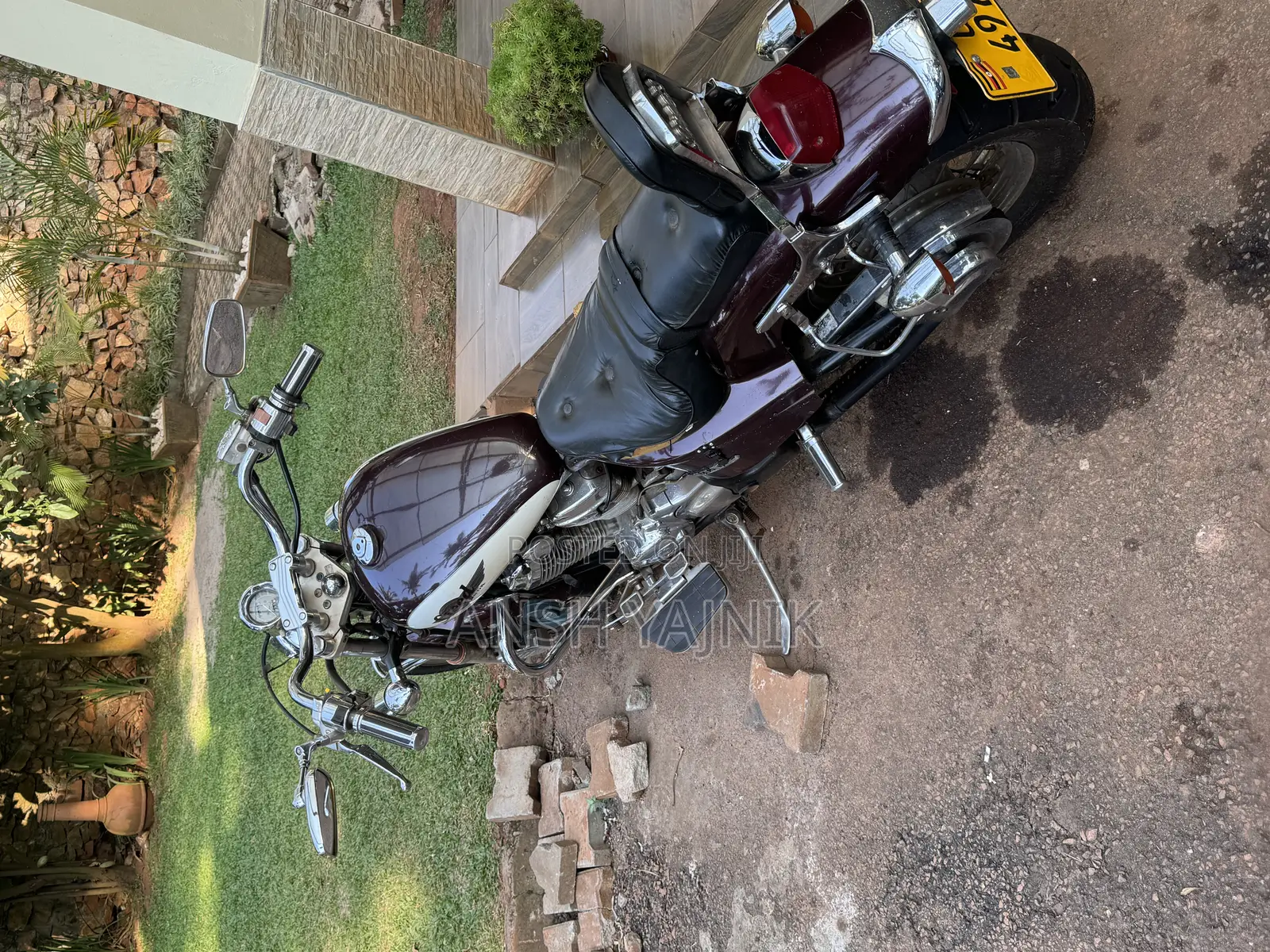 Honda Steed 2010 Beige