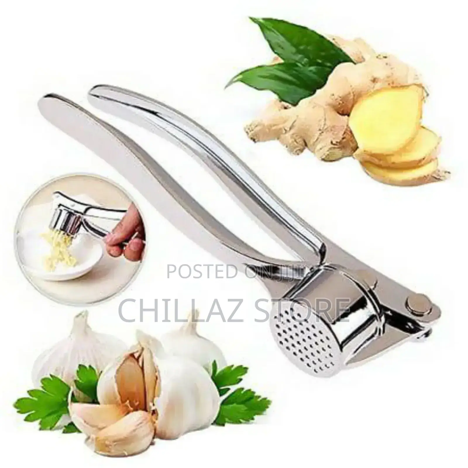 Stainless Steel Garlic Press