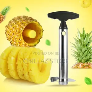 Stainless Pineapple Cutter