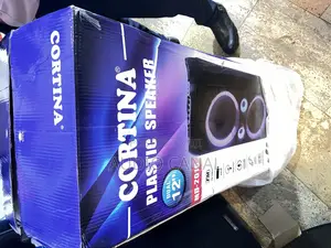 12” Contina Rechargeable Speaker