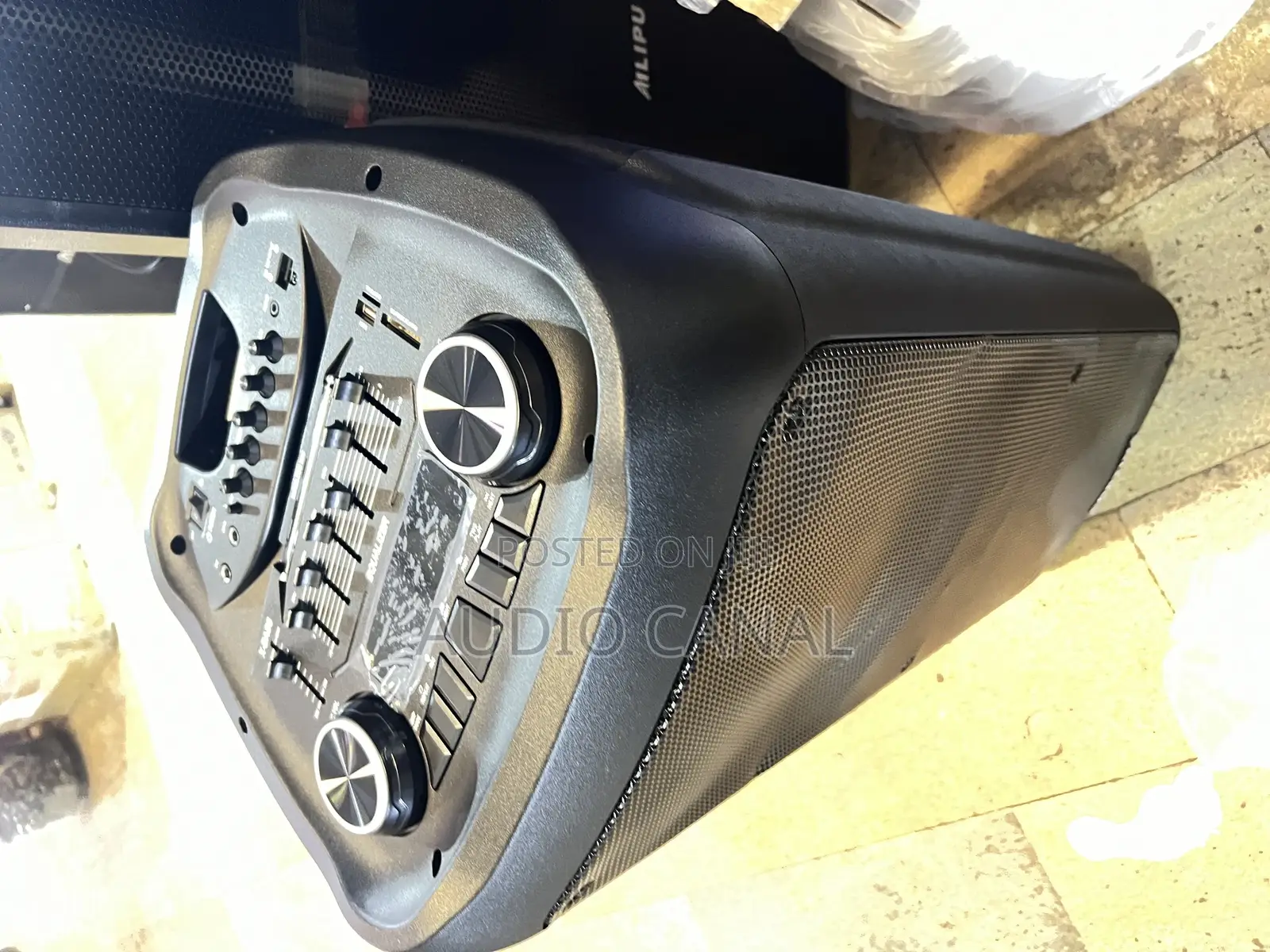 12” Contina Rechargeable Speaker