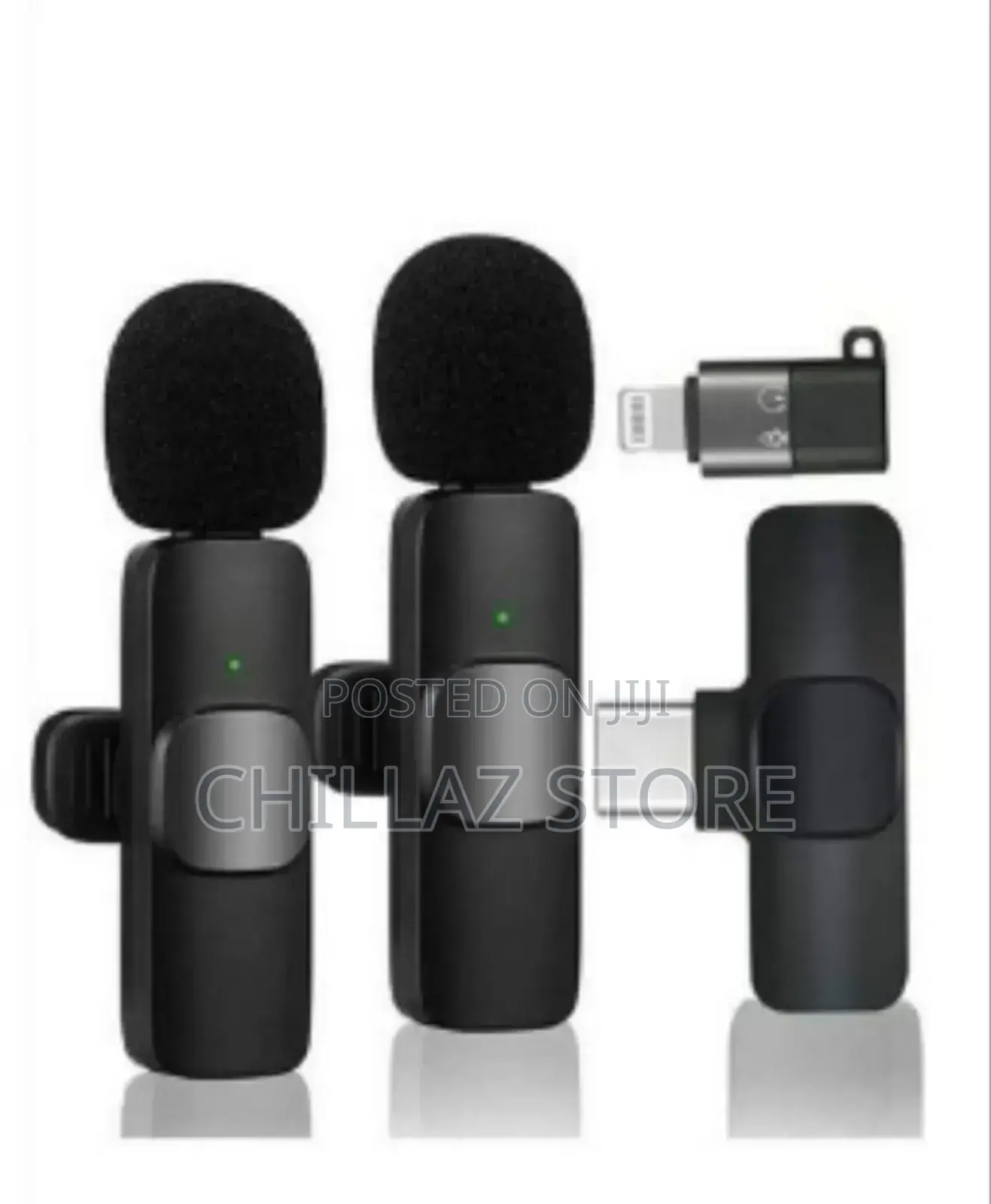 Portable Wireless Microphone