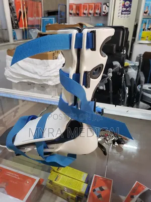The Ankle Unit