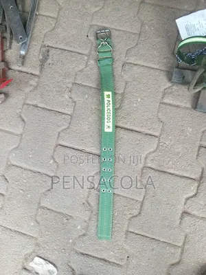Dog Chain + Collar