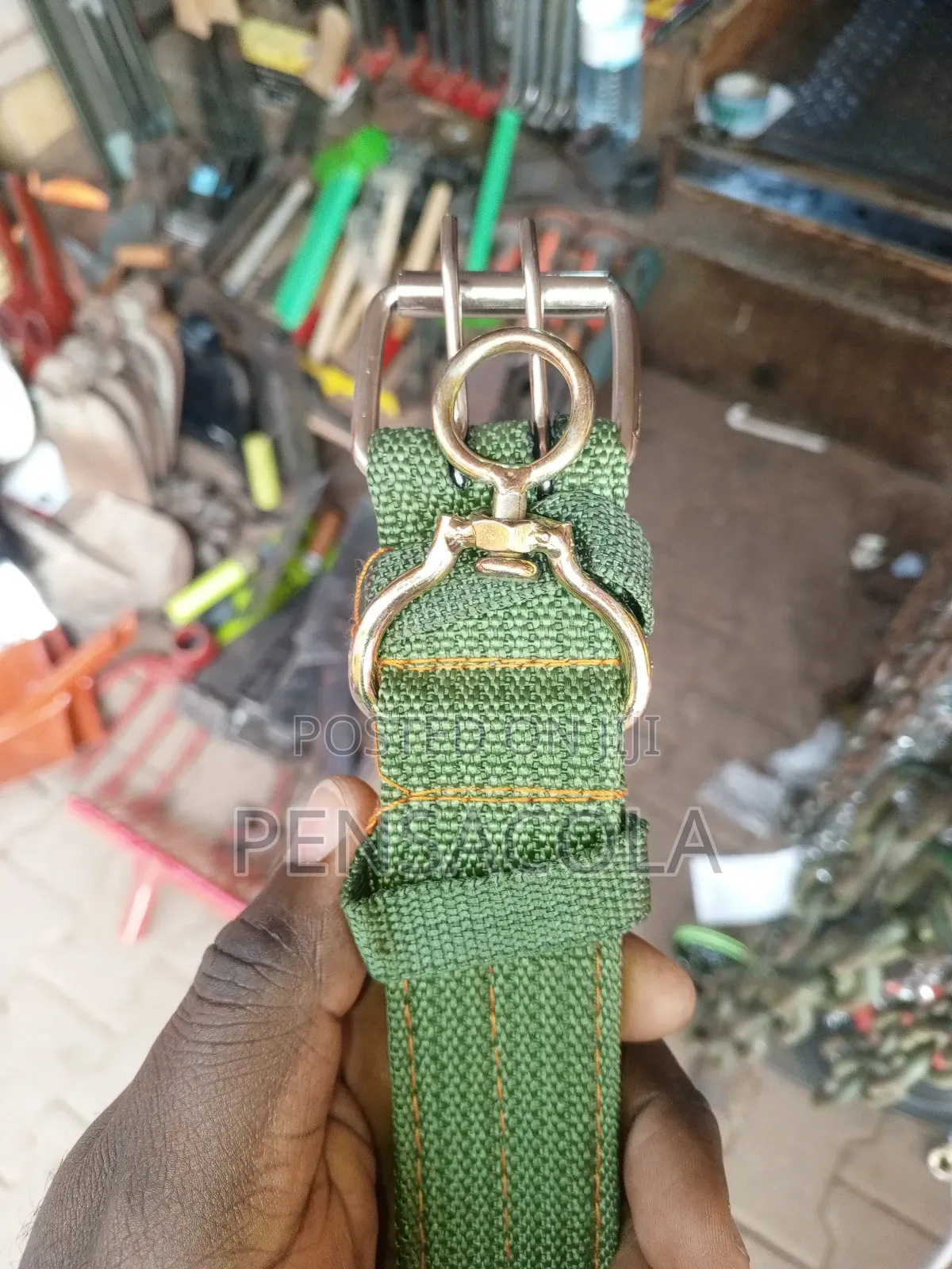 Dog Chain + Collar