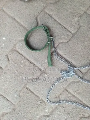 Dog Chain For Puppies