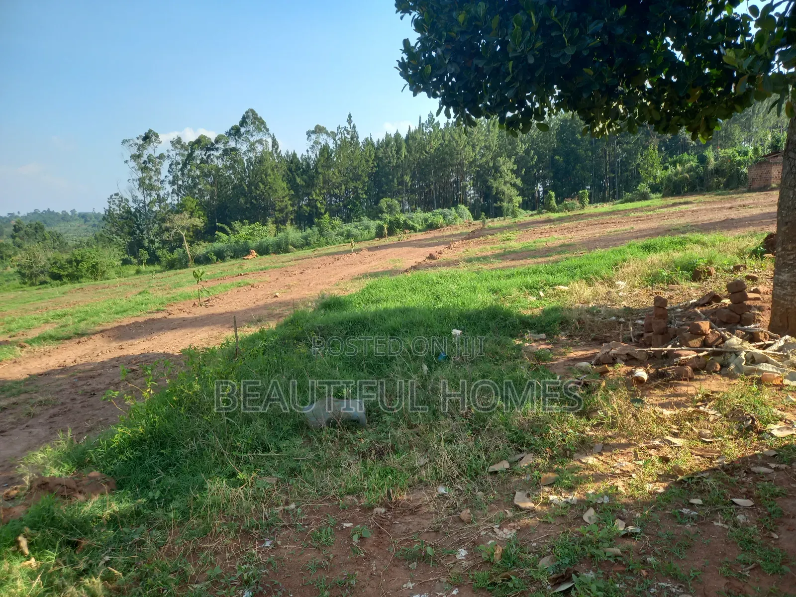 Gayaza Kijabigyo Nice Plots