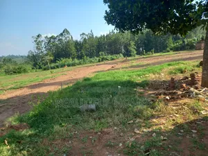 Gayaza Kijabigyo Nice Plots