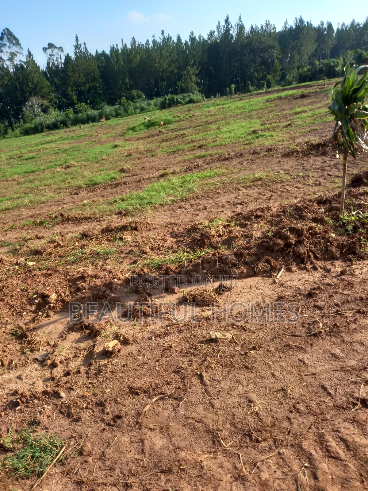 Gayaza Posh Plots on Sell