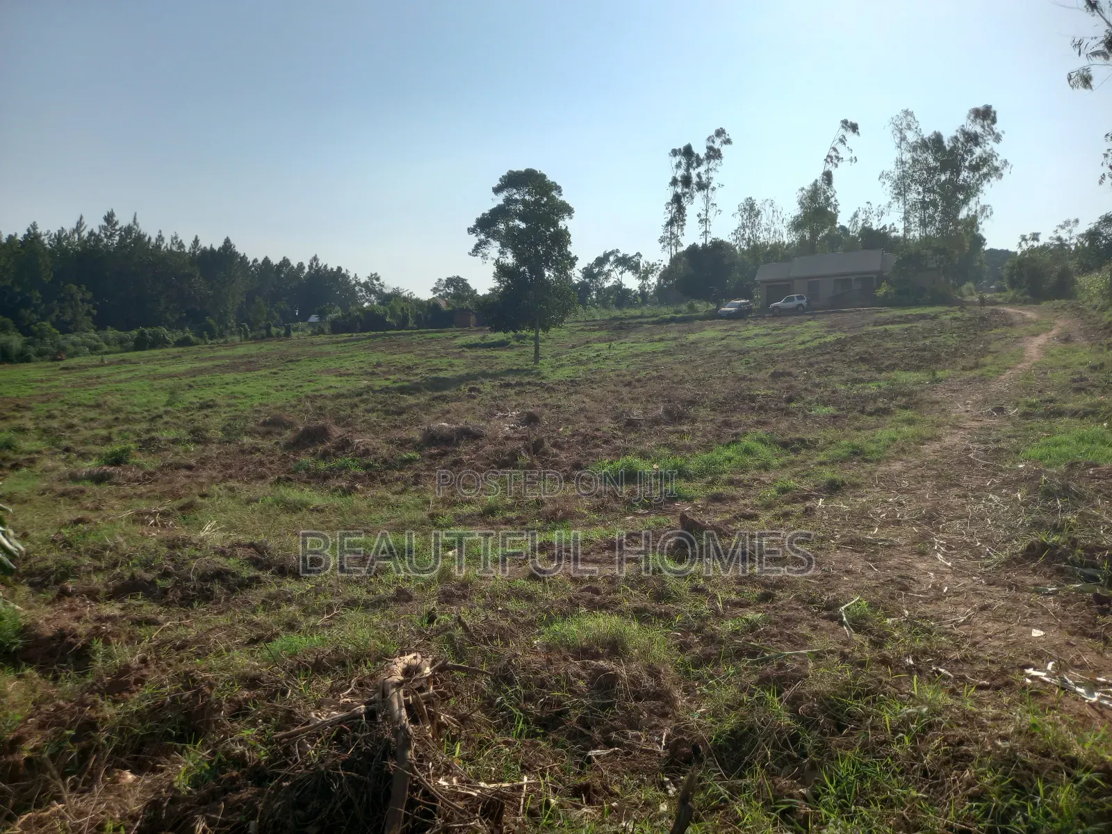 Kira Gayaza on Sell