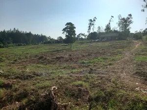 Kira Gayaza on Sell