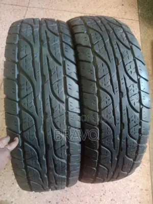 265/75r16 Dunlop Japan
