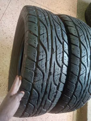 265/75r16 Dunlop Japan