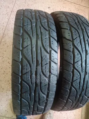 265/75r16 Dunlop Japan