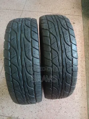 265/75r16 Dunlop Japan