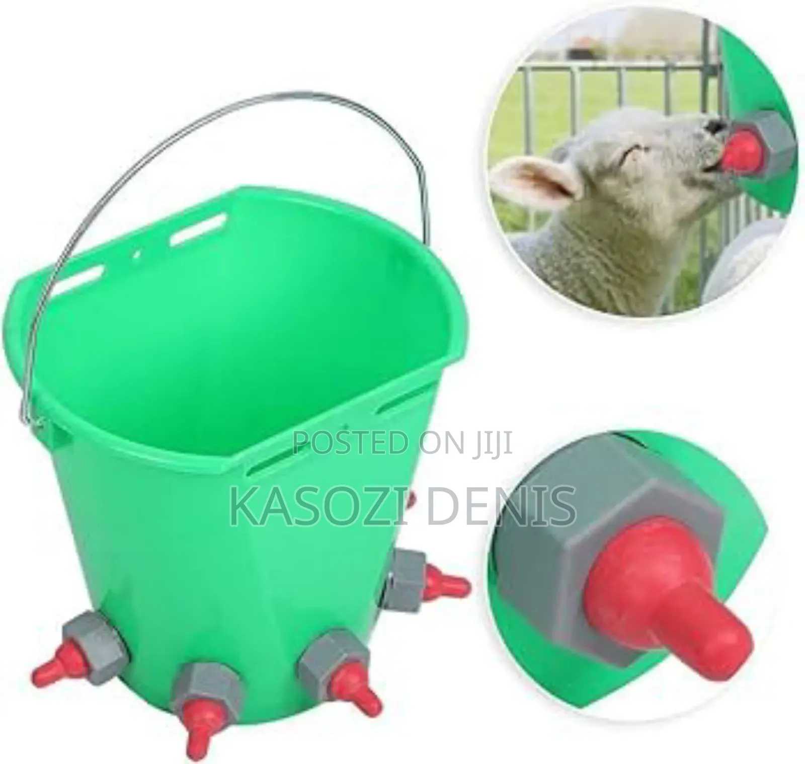 Goat Feeding Bucket
