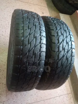 265/70r16 Bridgestone Japan.