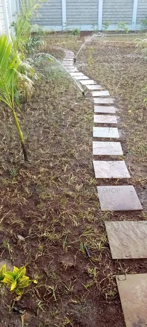 Kamoga Compound Designer and Natural Garden Paspalum Grass