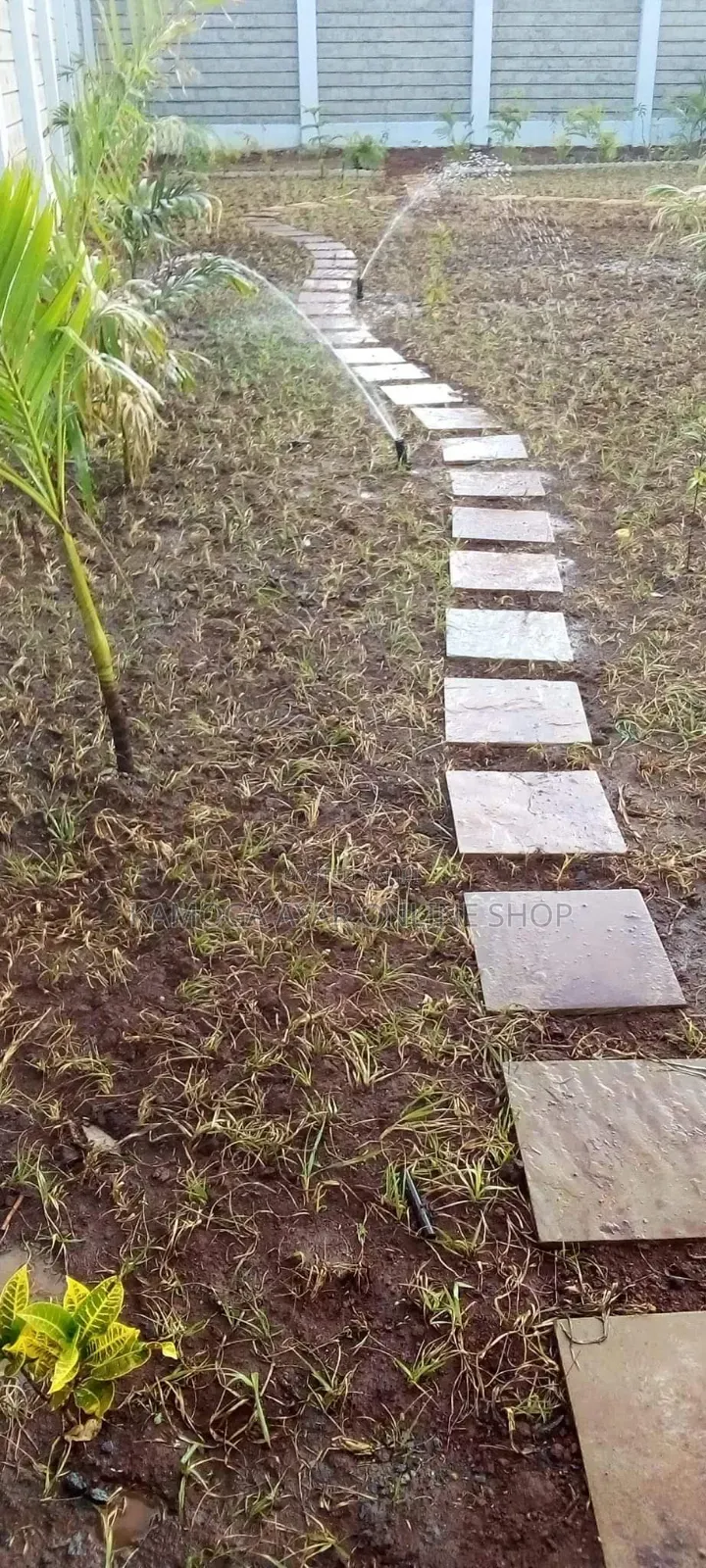 Kamoga Compound Designer and Natural Garden Paspalum Grass