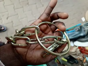 Dog Chain + Collar