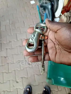 Dog Chain + Collar