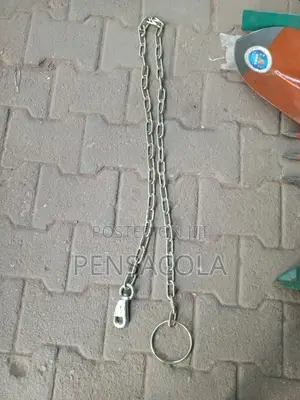 Dog Chain + Collar