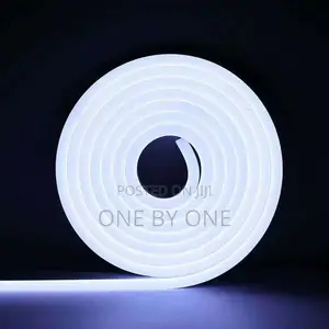 5m Neon Strip Lights LED Neon Flex Tube Outdoor