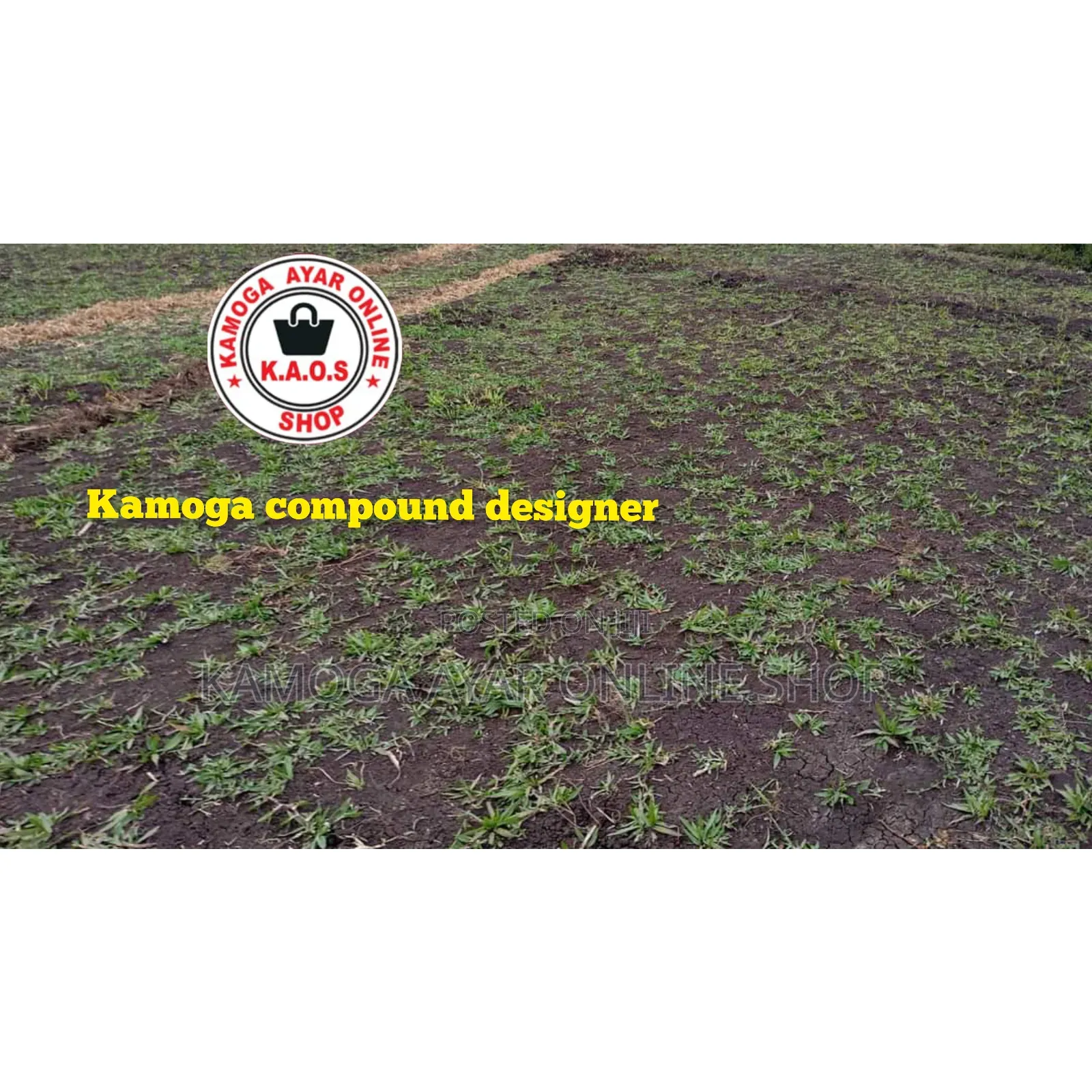 Natural Garden Paspalum Grass Lawn 1