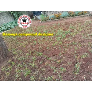 Natural Grass Lawn and Paspalum Grass