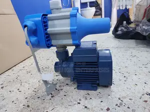 0.5HP Surface Booster Pump With Automatic Control Switch