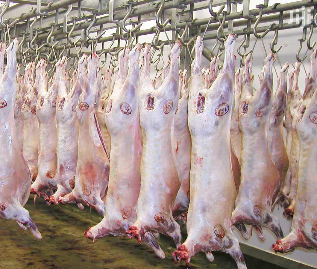 Good Quality Goat Meat