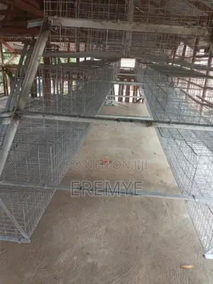 Layer Cages New and Used