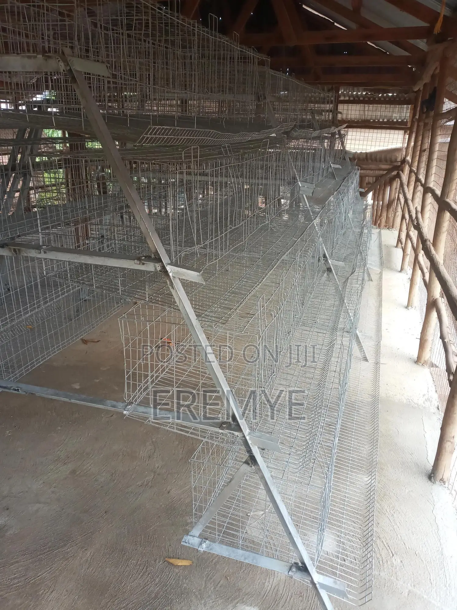 Layer Cages New and Used