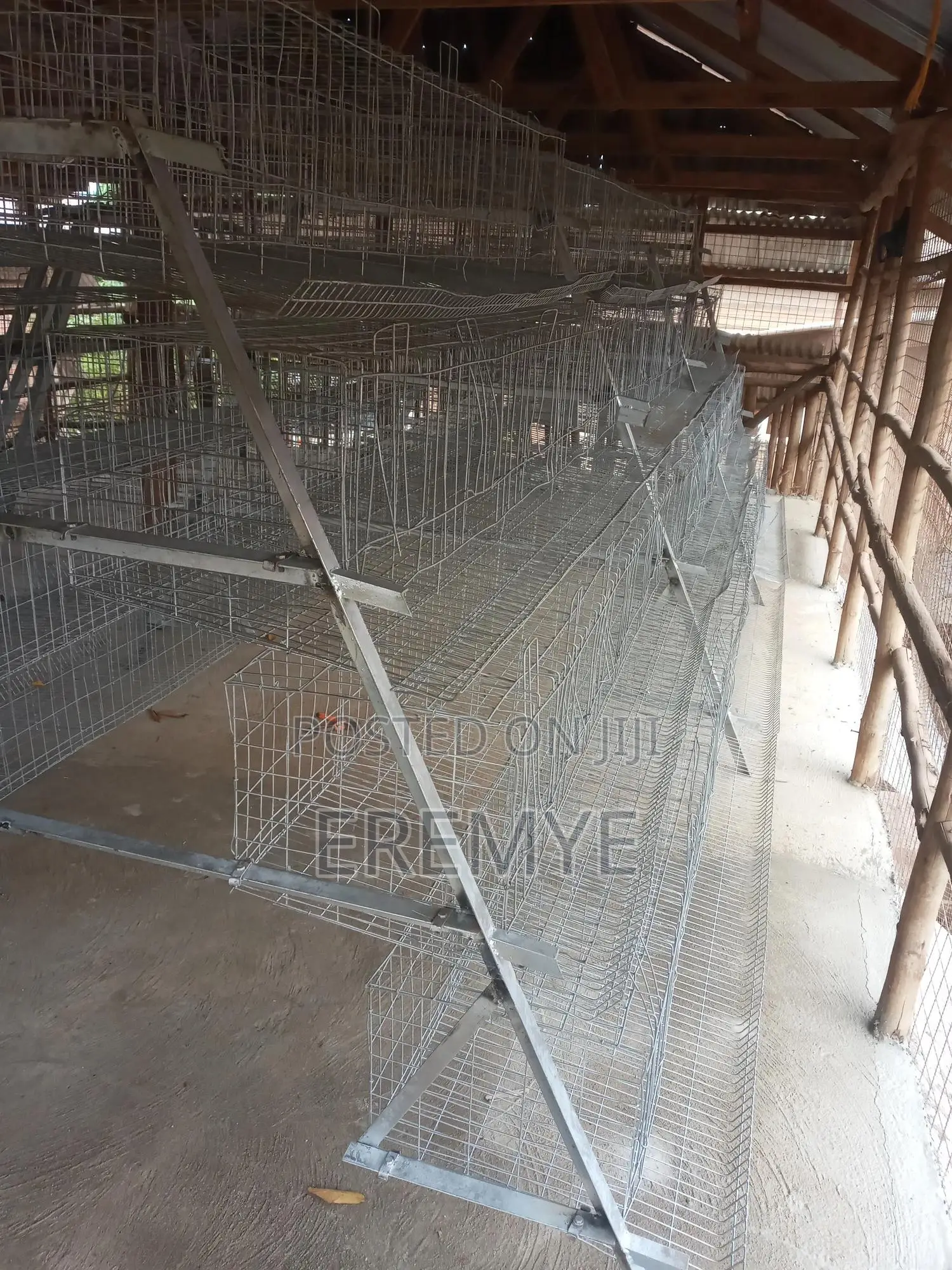 Layer Cages New and Used