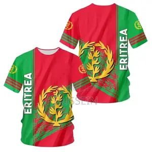 Africa Country Eritrea Flag 3D Print Lion Colorful Tshirt