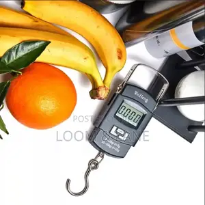 Portable Hanging Weighing Scale