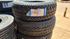 225/65r17 Petromax a/T