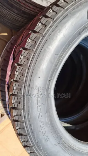 225/65r17 Petromax a/T